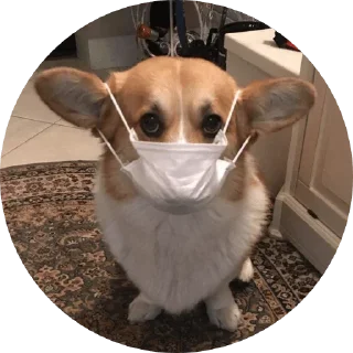 Стикер django @stickersb2b - 4