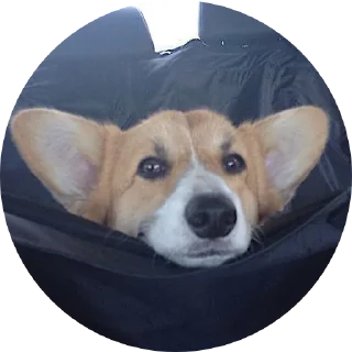 Стикер Ржумэн - 9