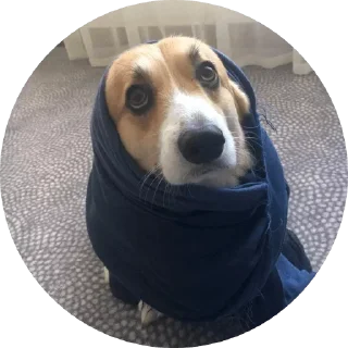 человеческое лицо одежда Человек