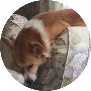 человеческое лицо одежда женщина