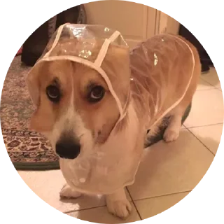 Стикер Ржумэн - 2