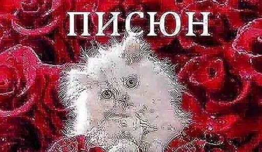 Sticker дима смеян краш :: @fStikBot - 5