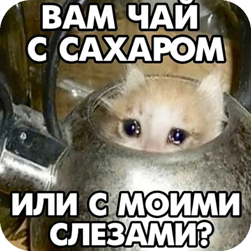 Sticker djkdbdkdnd - 1