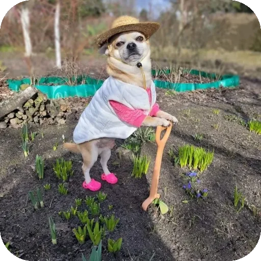 Sticker djkdbdkdnd - 1