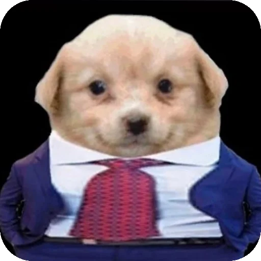 Sticker djkdbdkdnd - 1