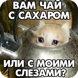 Sticker мяяу - 5