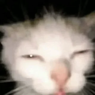 Sticker мяяу - 1