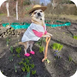 Sticker мяяу - 4