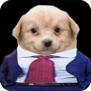 Sticker мяяу - 3