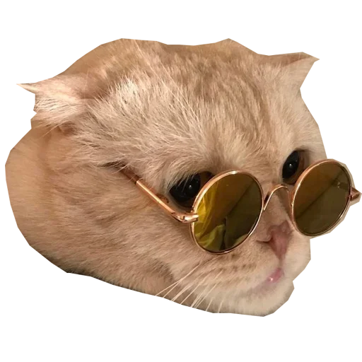 accessory goggles spectacles