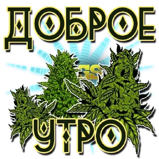 Sticker Мемы - @rasta_memes420 - 8