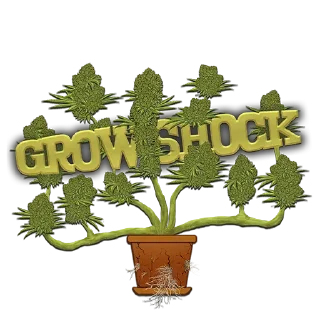 Sticker Мемы - @rasta_memes420 - 7