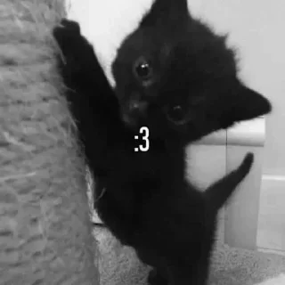 Стикер ⋆˚࿔ @deluxsi 𝜗𝜚˚⋆ - 3