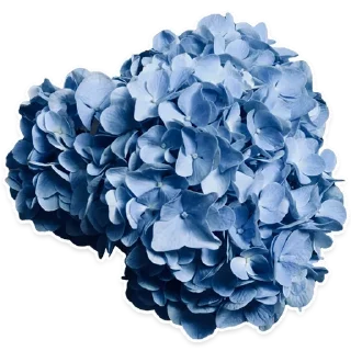 Стикер dlya_mashi - 0