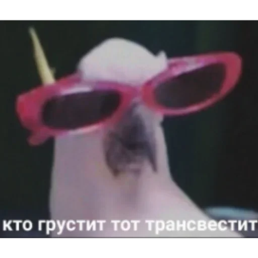 аксессуар очки защитные очки