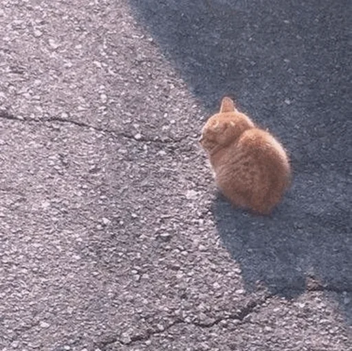 Sticker стики для принца { @w3ikka } :: @fStikBot - 1