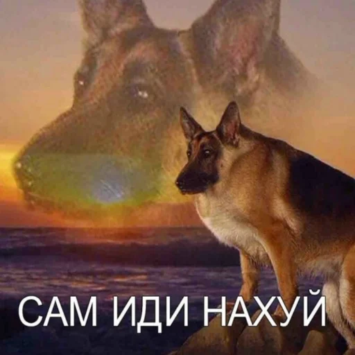 Стикер dlyavaz - 1