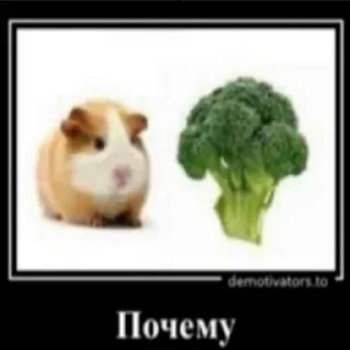 Стикер Для важных (нет) переговоров - 0