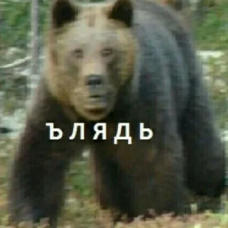 Стикер Для важных (нет) переговоров - 10