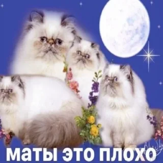 Стикер Для важных (нет) переговоров - 4