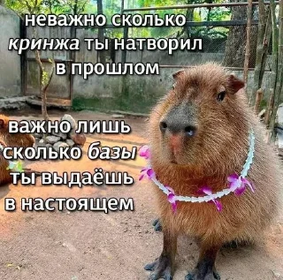 Стикер 😼 - 11