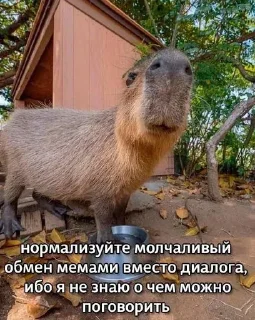 Стикер 😼 - 8