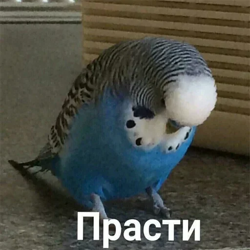 Sticker dmdaxe_by_GoStikers_bot - 1