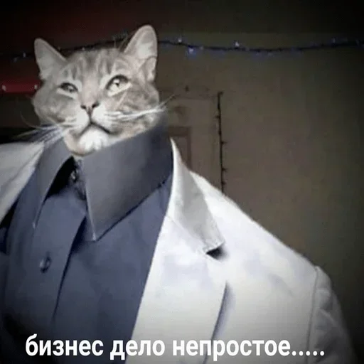 Стикер dmdwngjeW_by_stickers_stealer_bot - 1