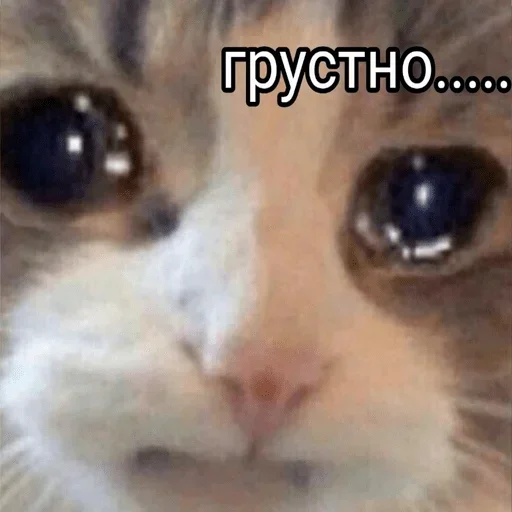 Создано в @sozdsti_bot - 