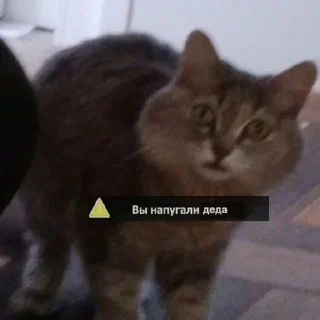 Sticker Создано в @sozdsti_bot - 8