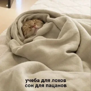 Sticker Создано в @sozdsti_bot - 9