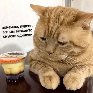 Sticker Создано в @sozdsti_bot - 4