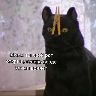 Sticker Создано в @sozdsti_bot - 2