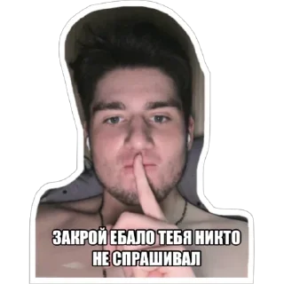 Стикер 13 оттенков Дмитрия - 3