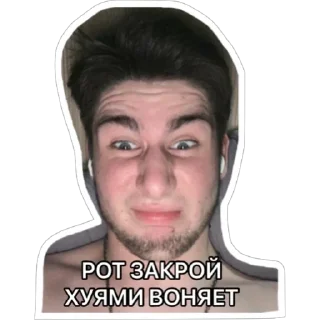 Стикер 13 оттенков Дмитрия - 2