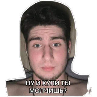 Стикер 13 оттенков Дмитрия - 5