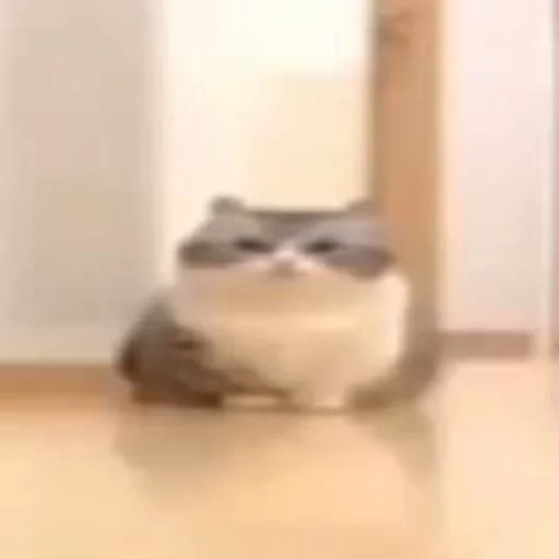 Стикер dmlaru - 1