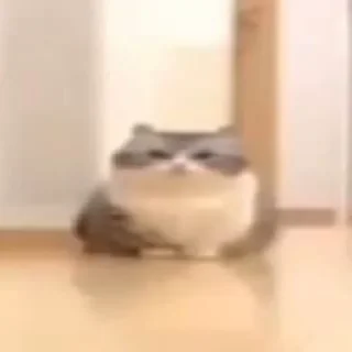 Стикер Комару шкворня - 1