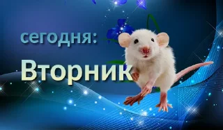 Sticker Дни недели: @nyashmyashstickers - 6