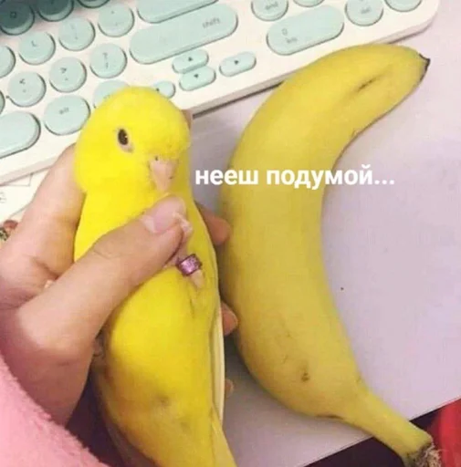 Стикер Super Funny Memes👍 - 11