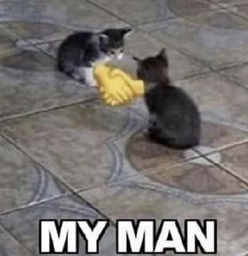 Стикер Super Funny Memes👍 - 8