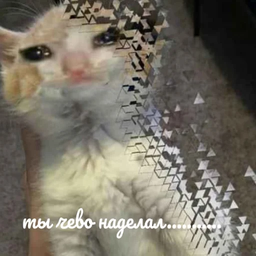 Стикер Super Funny Memes👍 - 1