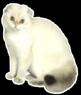 Стикер Evelina - 5