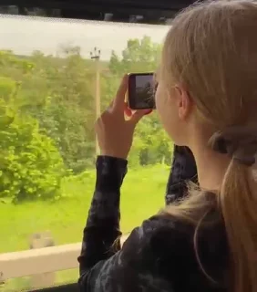 Стикер Evelina - 3