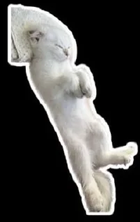 Стикер Evelina - 10