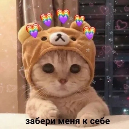 доб(о/е)йджи || @rilyem || by @fStikBot - 