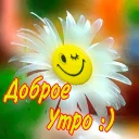 Sticker Заработок онлайн @Dohod_vtgbot - 6