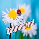 Sticker Заработок онлайн @Dohod_vtgbot - 8