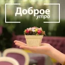 Sticker Заработок онлайн @Dohod_vtgbot - 1