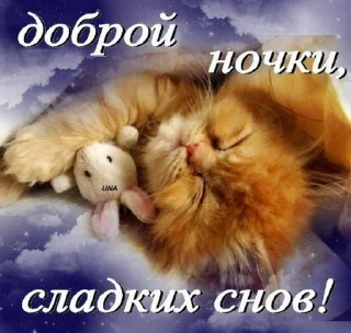 Sticker спокойной ночи @rjakasticks - 10